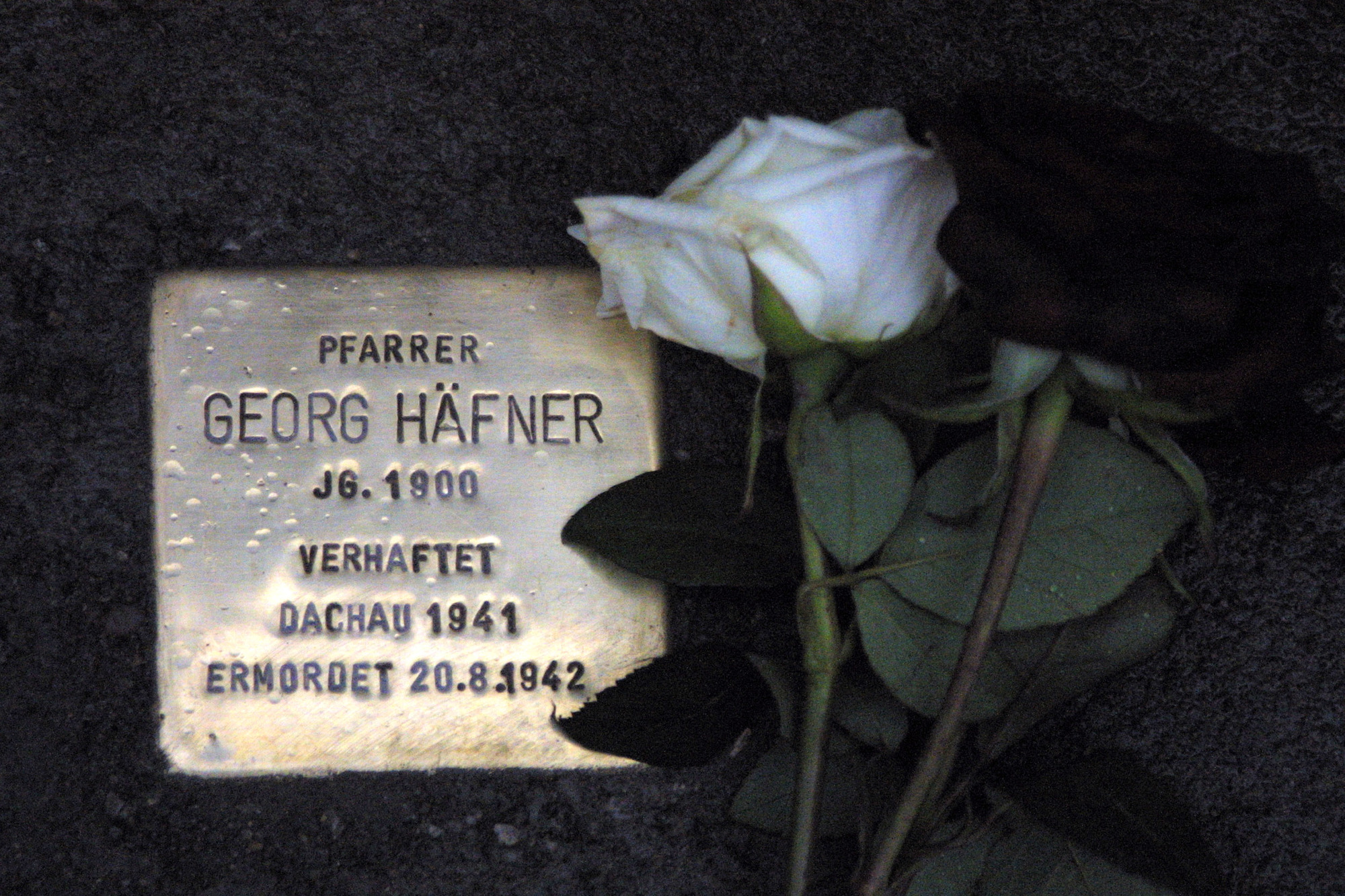 1287130505036_stolperstein.jpg
