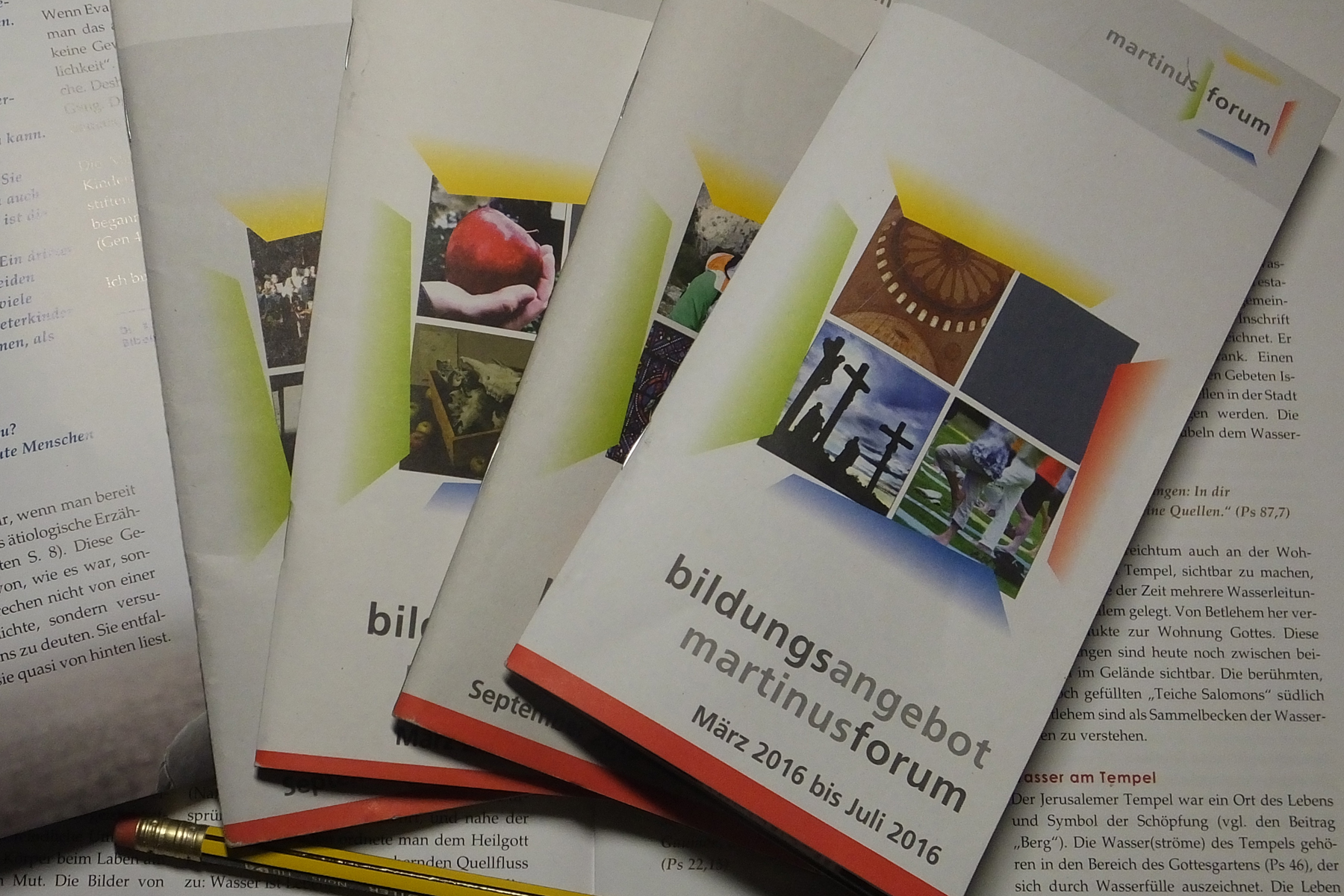 Programmheft Martinusforum 2016