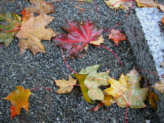 FORTBILDUNG--KRISENSEELSORGE